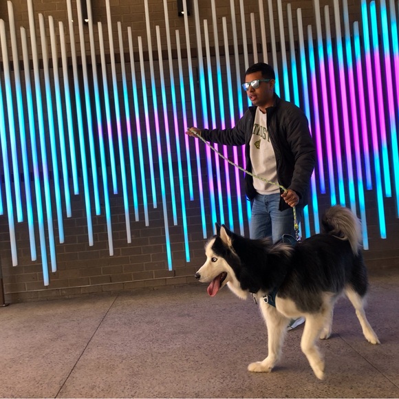 Meet your Posher, Victor - Picture 2 of 3